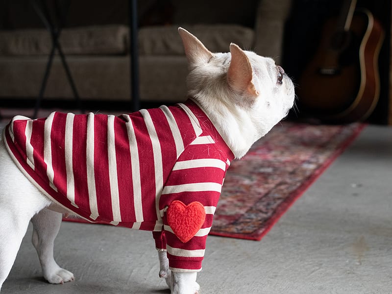 【Little A】BORDER TEE【RED】