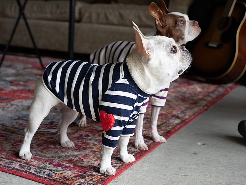 【Little A】BORDER TEE【NAV】