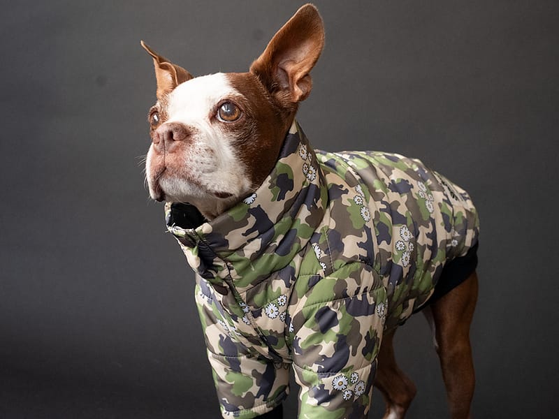 スタンドカラーPOPコート【KUMACAMO】