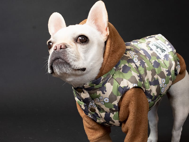 SETUPコート【CML×KUMACAMO】