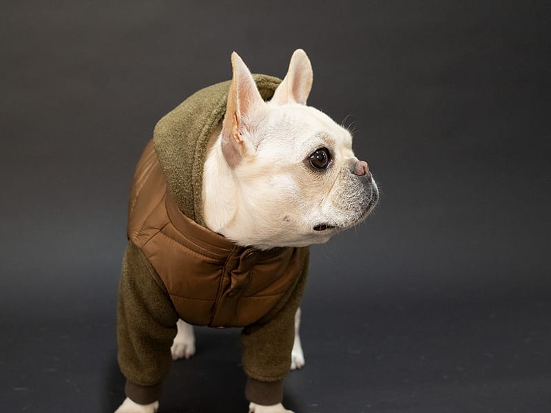 SETUPコート【KHK×BRN】