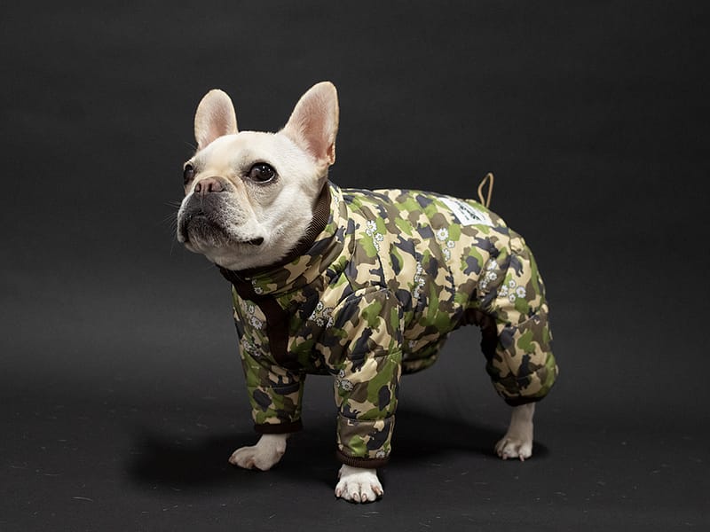 高機能ロンパース