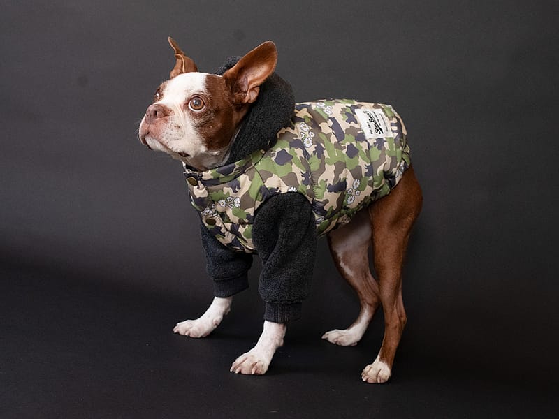 SETUPコート【CCL×KUMACAMO】