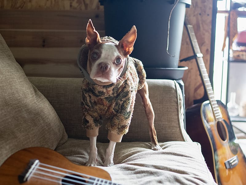 Layering BOA Parka【Flower BEG】