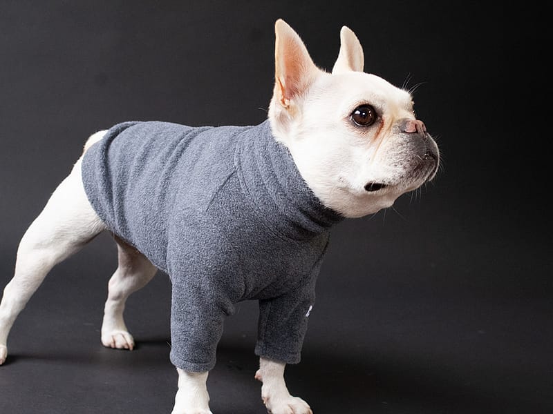 HUGWARM Light【CCL】