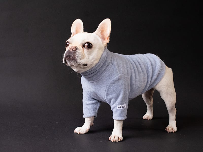 HUGWARM Light【SNOW GRY】