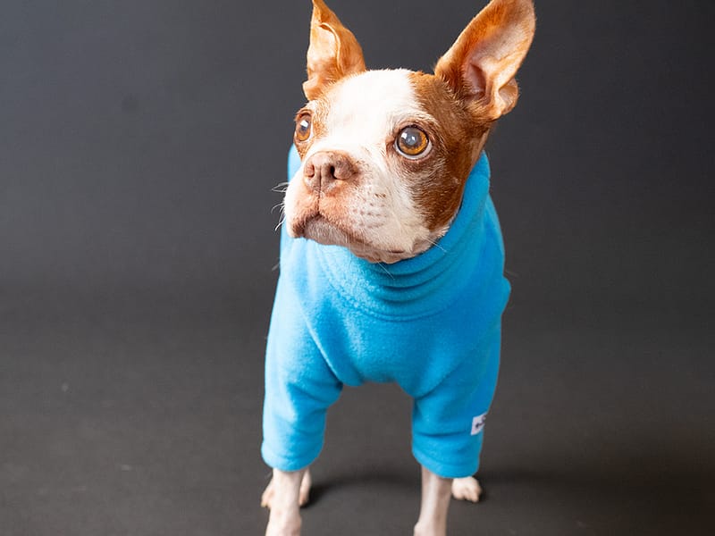 HUGWARM Light【TAQ】