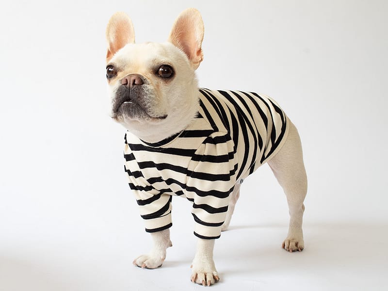 ショルダータックボーダーTEE【BLK】