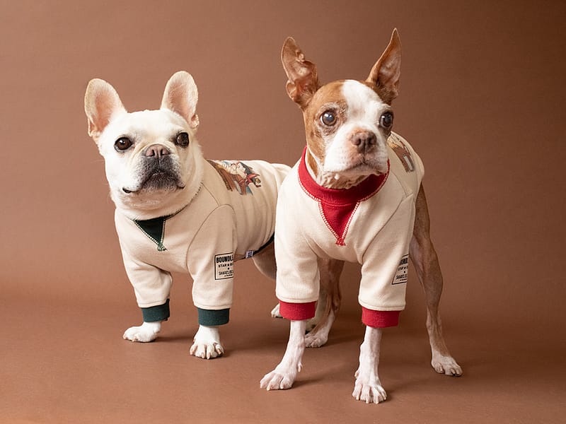 BOUNDLESS Gazette TEE