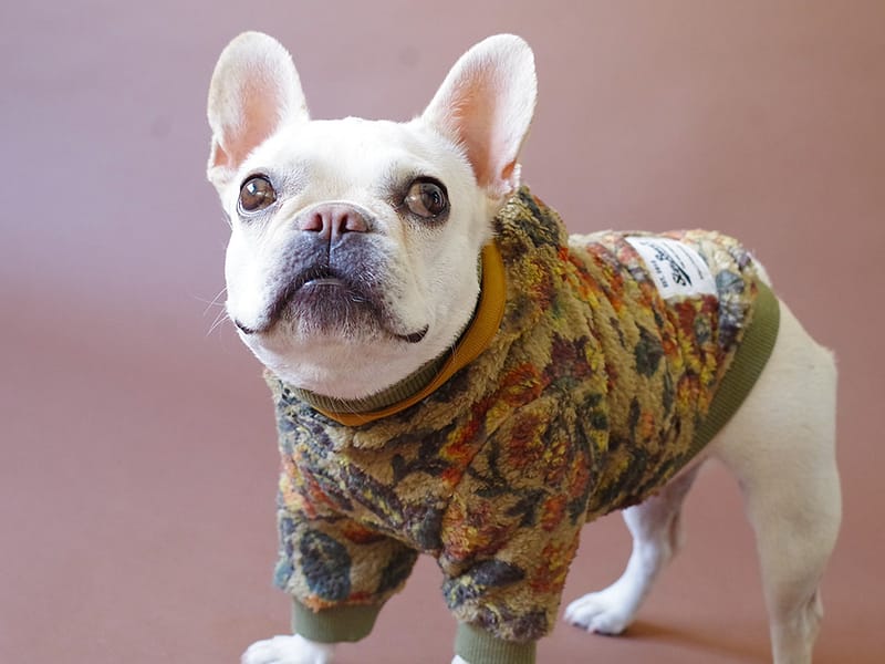 Layering BOA Parka【Flower KHK】