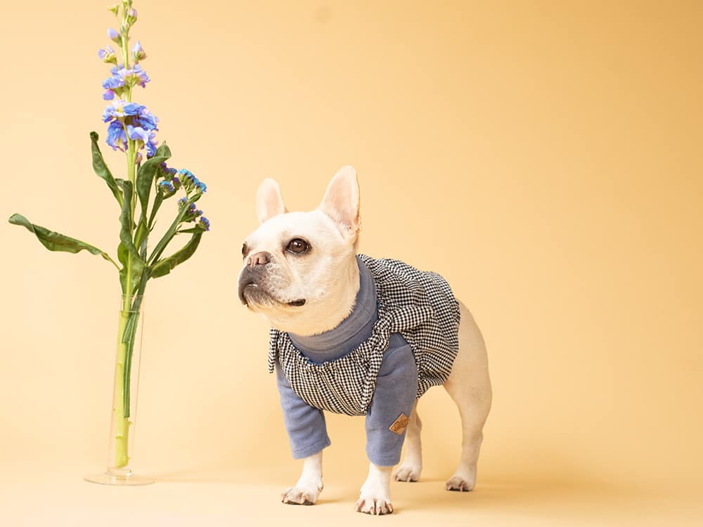 GATHER RIBBON PULLOVER